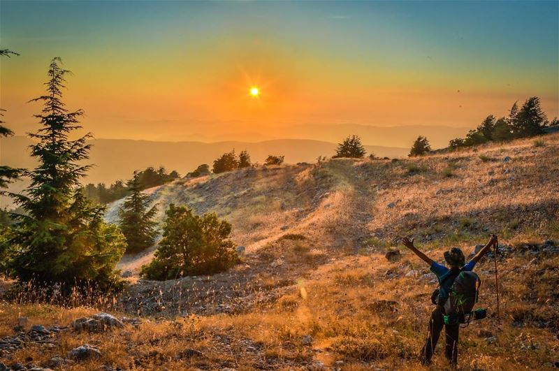 Save the mountains , save the trees , 75 km in 21 hours hike around mount-l