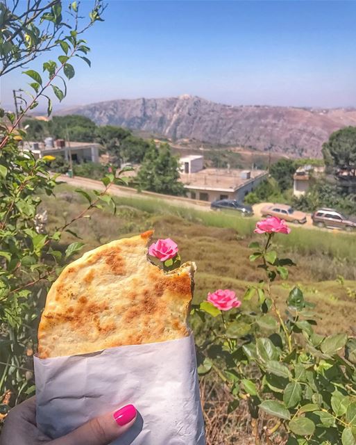 Savor the taste of every bite, dive into the smell of each rose, inhale... (El Qlaïaâ, Al Janub, Lebanon)