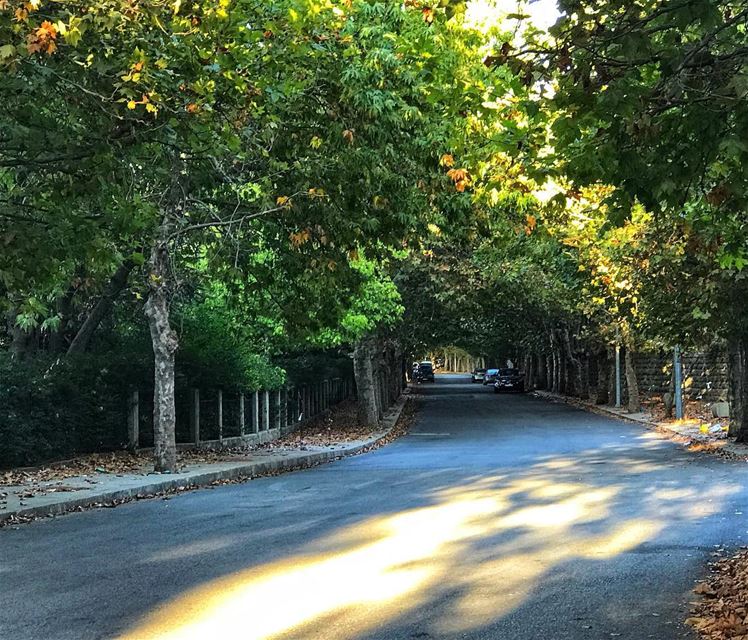 🍁 🍂 (Sawfar, Mont-Liban, Lebanon)