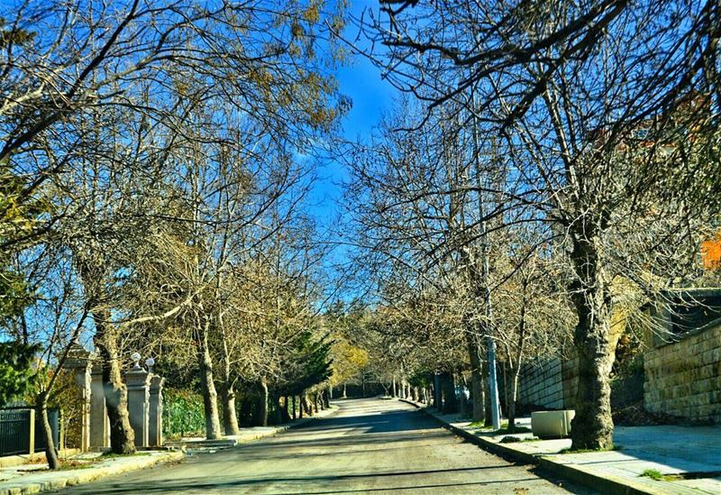  sawfar  mountlebanon  winterinlebanon  lebanonpics  sunny  sunday ...