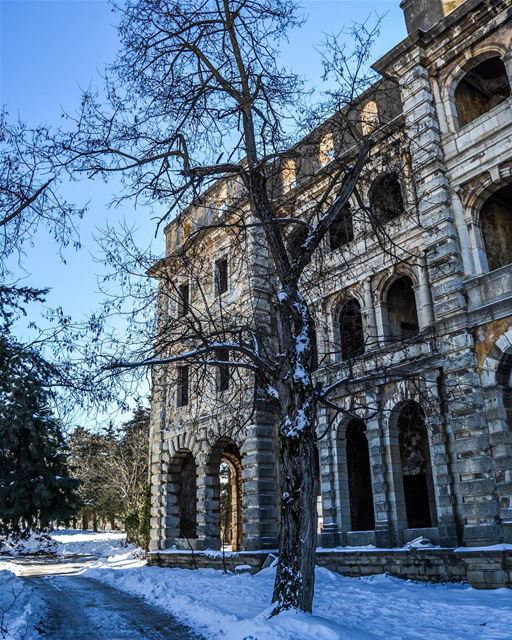 .Sawfar old Abandoned hotel , tree and snow ! Have a nice Sunday dear... (Sawfar, Mont-Liban, Lebanon)