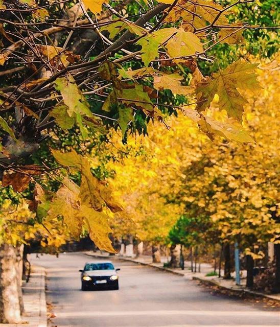 Sawfar-صوفر