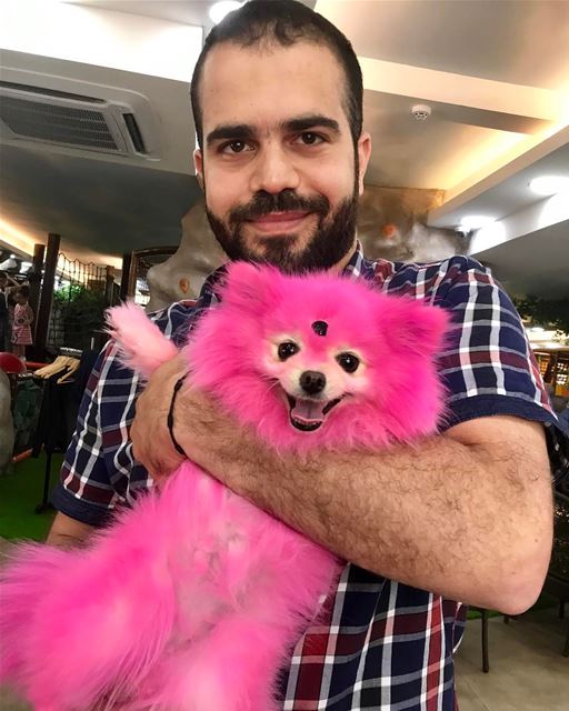 Say hi for our pinky poutik 👻👻👻 ⛔️⛔️please pets lovers dont worry about... (Dawhet El Hoss)
