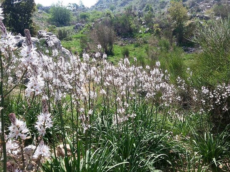 Say No to laziness this Sunday... Visit  JabalMoussa. lebanon_hdr ...