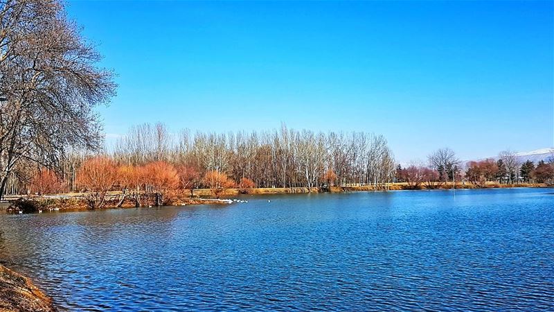 Saying goodbye to winter  nature  naturephotography  naturelovers  natgeo ... (Bekaa Valley)