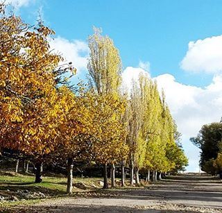  scenery  qanatbakish  landscape  capture  camera  pictures  trees  sky ...