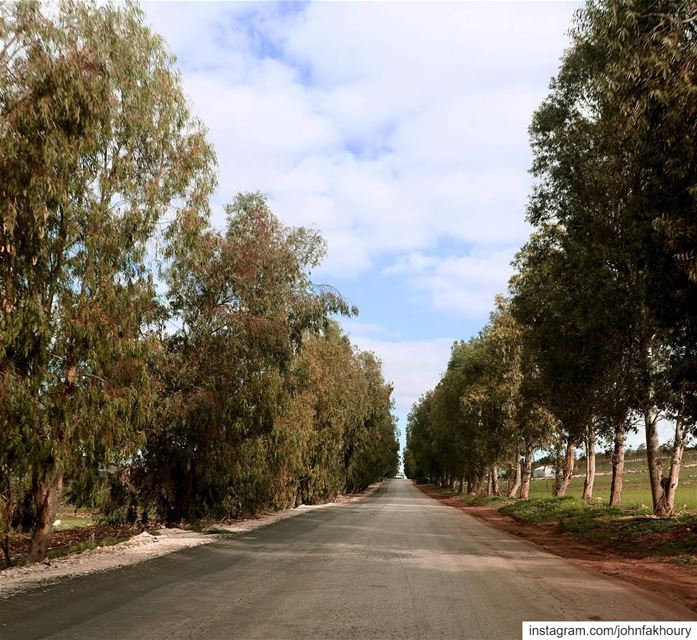 Scenic... (Marjayoûn, Al Janub, Lebanon)