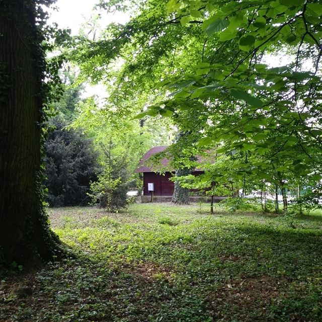 Se[a] the forest through the trees! Start of the  ZeroWaste Europe... (Maksimir Park)