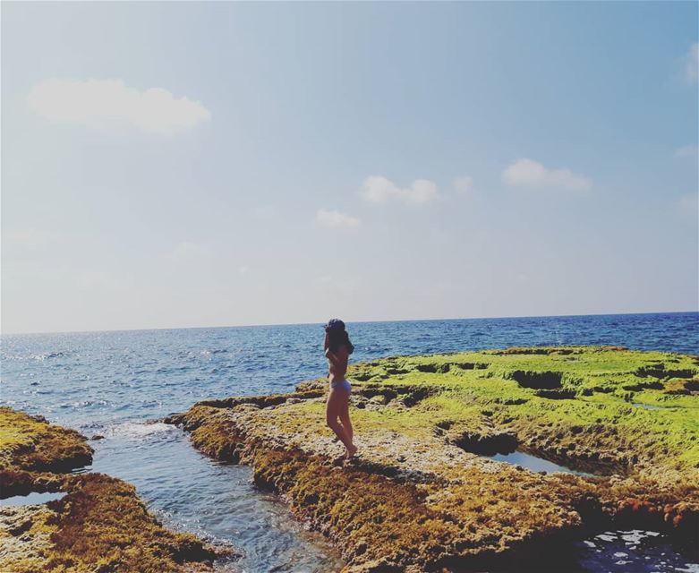  sealife swimming meditteraneansea womenwhoexplore summer natureaddict... (الناقورة / Al Naqoura)