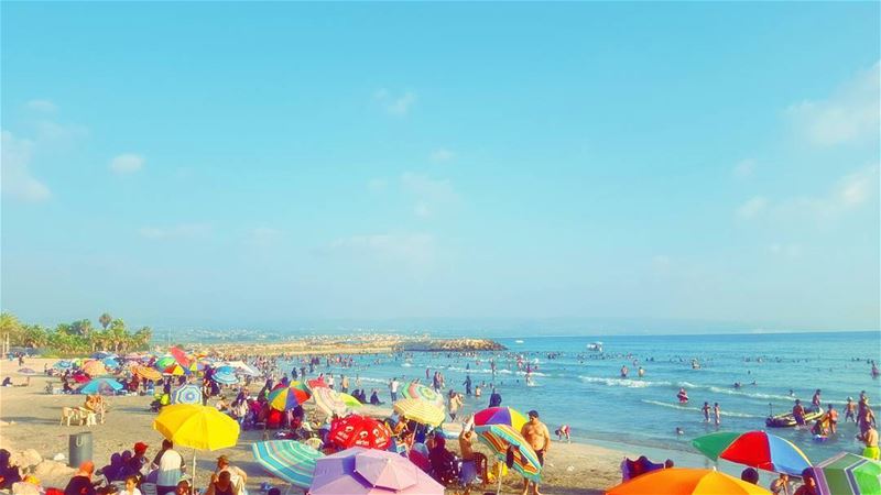  SEAS the  Day !  multicolor ... (Tyre, Lebanon)