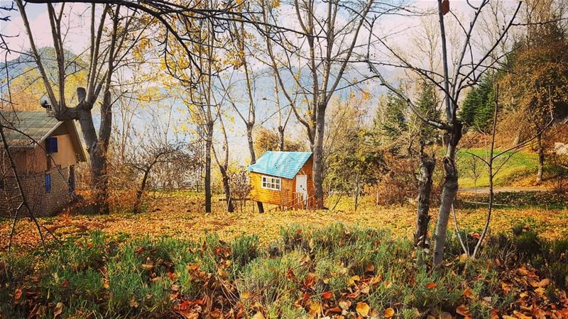 Season change, so do People🍁🍂🍁... ----------------------------------- (El Laqloûq, Mont-Liban, Lebanon)