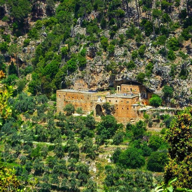 See how nature - trees, flowers, grass- grows in silence; see the stars,... (Ouâdi Qannoûbîne, Liban-Nord, Lebanon)