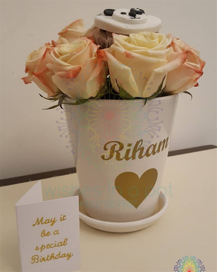 Sending a  panda love  cupcake and  spring  roses  customized  pot T:...
