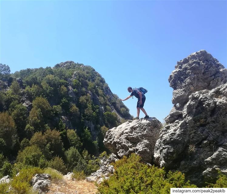 Sensing nature in every moment.... (Jabal Moussa Biosphere Reserve)