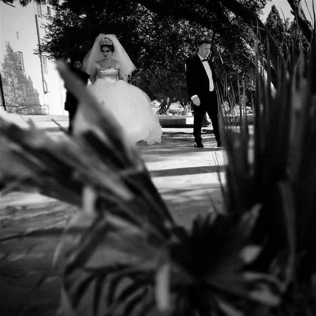 Separating before marriage -  ichalhoub in Hamat north  Lebanon / ...