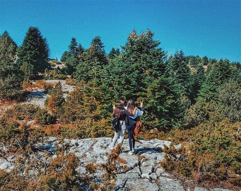 Serene harmony🦋 (`Akkar, Liban-Nord, Lebanon)