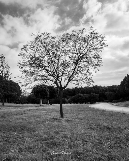 Serenity.. .Beirut... blackandwhite  Lebanon  bnw_planet  beirut ...