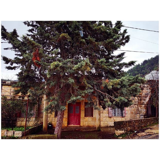 Serenity |  Roadtrip  chouf  south  winter 🇱🇧--- TakeMeTo  bisri ... (Bisri, Al Janub, Lebanon)