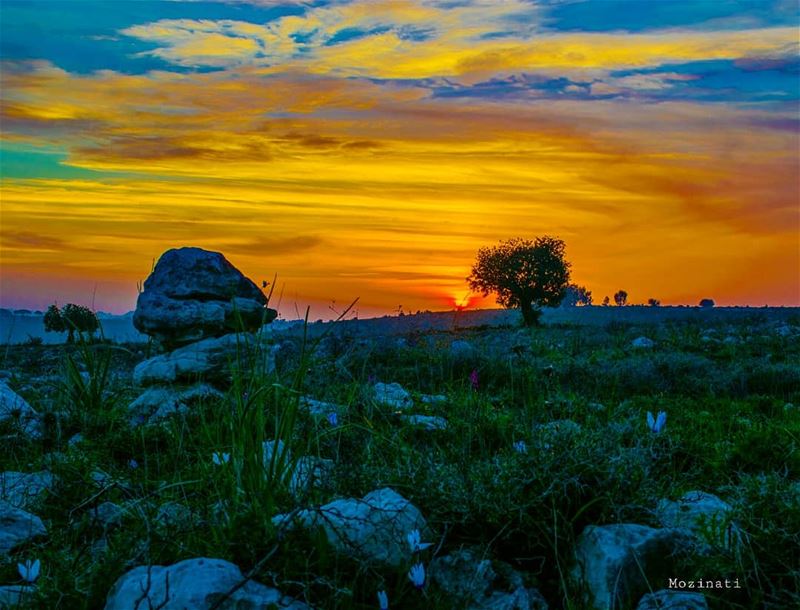 Serenity.. 😍 ===========================  sunsetporn  livelovebeirut ... (Rumin, Al Janub, Lebanon)