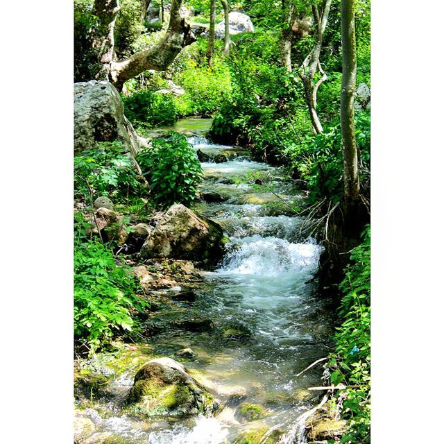 🌊🌊 sergesarkisphotography  canon  photography  photographer  lebanon ... (Tannurin At Tahta, Liban-Nord, Lebanon)