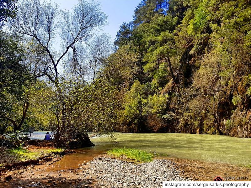 🏞🏞.sergesarkisphotography  photographer  photography  photo  rose  red... (Jabal Moussa Biosphere Reserve)