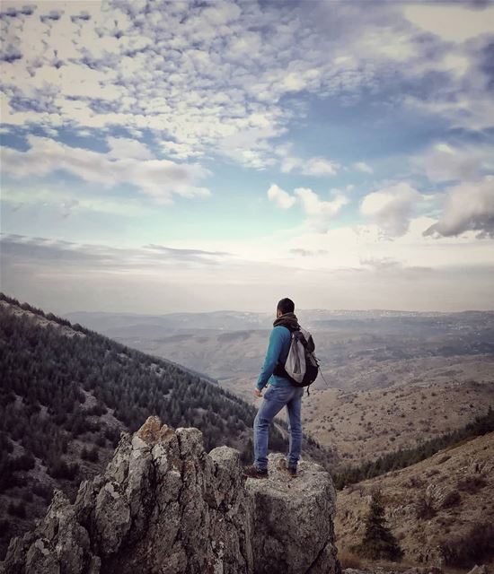 Set your spirit wild free..______________________________________________... (Al Shouf Cedar Nature Reserve)