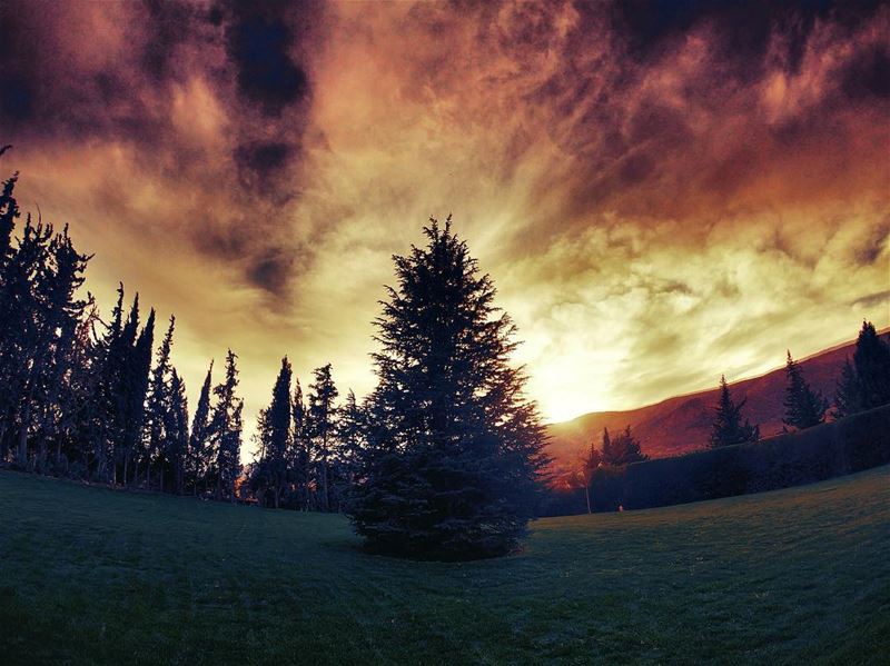 Setting the sky on fire 🔥  clouds  cloudy  trees  Lebanon  nature ... (Château Kefraya)