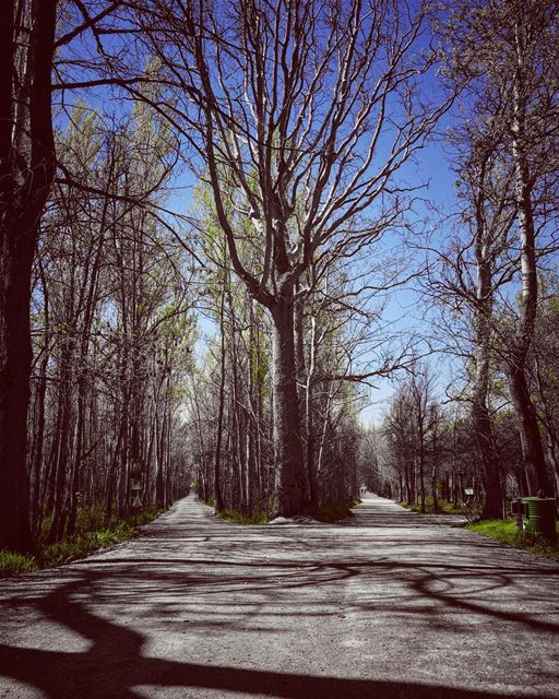 Shades of nature moods...  naturephotography  natureart  lebanonspotlights... (Deïr Taanâyel, Béqaa, Lebanon)