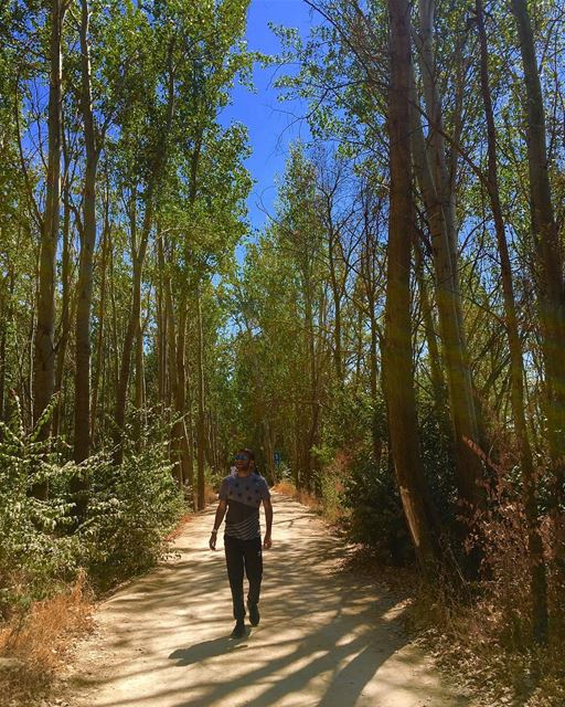 Shadow 🌞🌴🍃🌿🍃🌴🌞  nature naturephotography tree colors trip vacation... (Deïr Taanâyel, Béqaa, Lebanon)