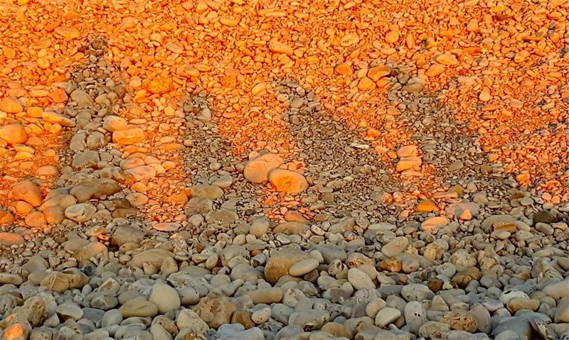 Shadows at the beach sunset time  batrounlive  mybatroun  feeloubnan ...