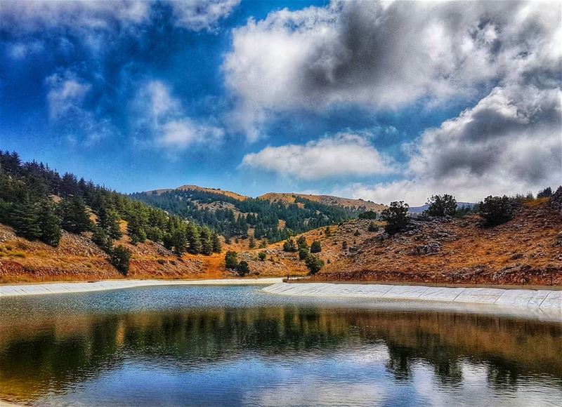 Shapes on water  reflection  lake  clouds  livelovebeirut  ig_lebanon ... (Al Shouf Cedar Nature Reserve)