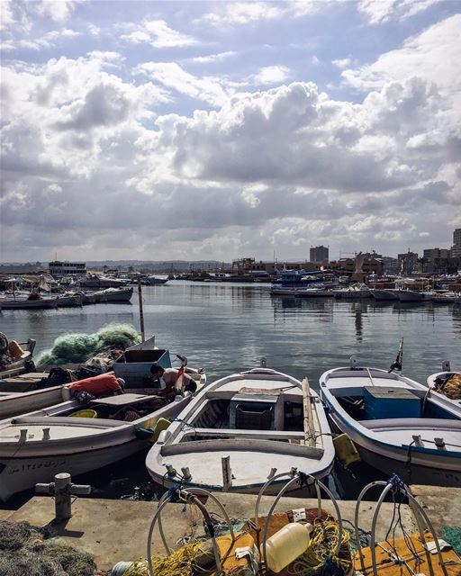 Shattered dreams over remnants of ancient beings....  nature_brilliance ... (Tyre, Lebanon)