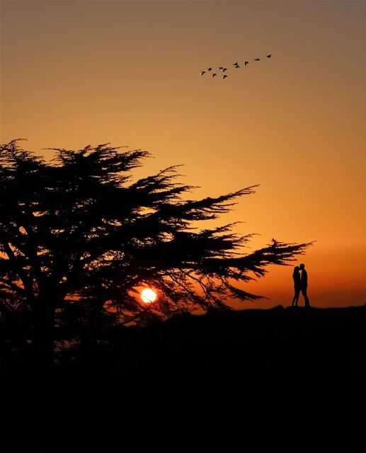 She is the love of his life, he is her whole life ...  ig_lebanon ... (Maaser El Shouf Cedar Reserve محمية ارز معاصر الشوف)