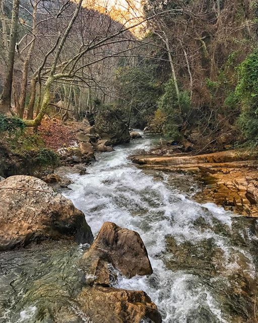 She lost herself in the trees among the ever changing leaves. She swept... (Bsatin Al-Ossi Waterfalls)