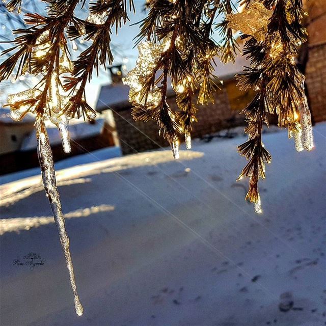 She’s as cold as ice, but in the right hands, she melts. lebanoninstagram... (El Laklouk, Mont-Liban, Lebanon)