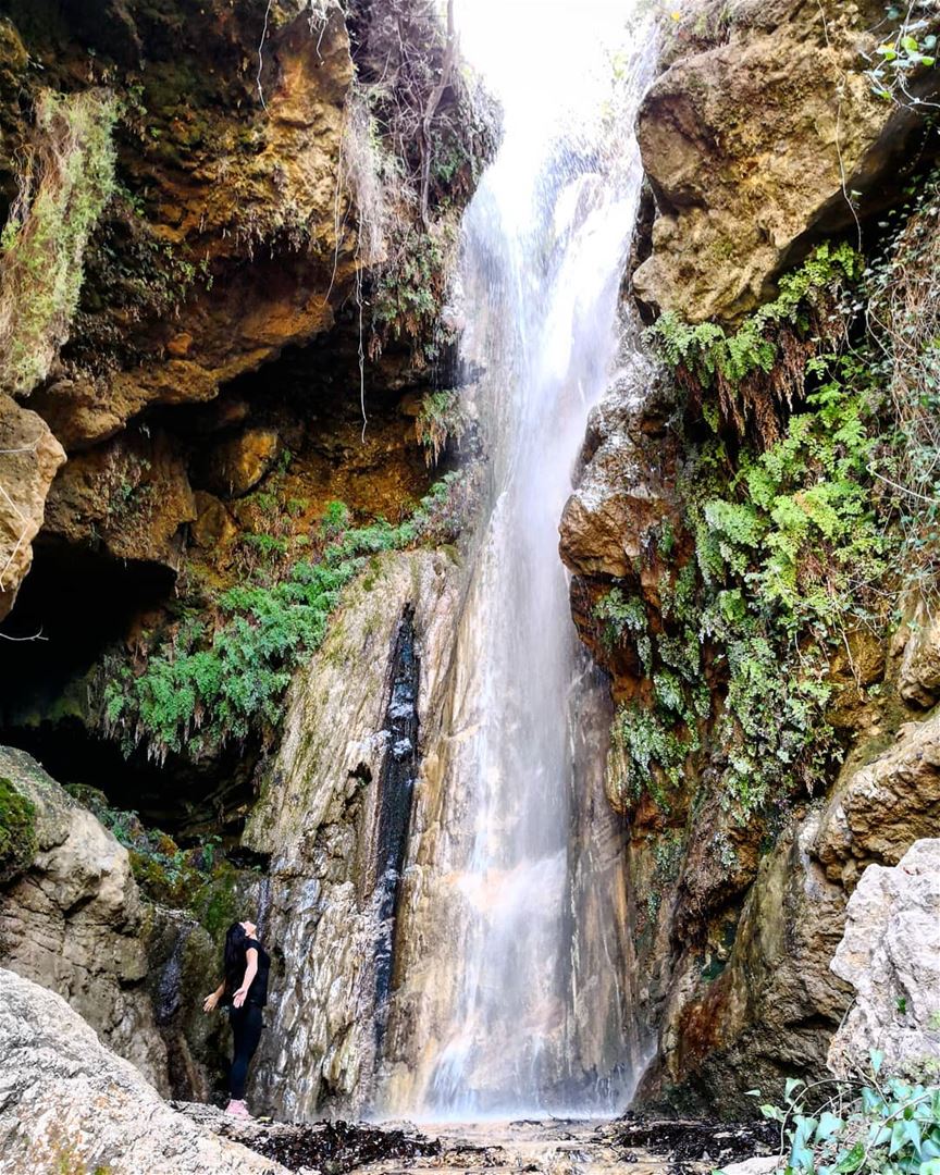 She's  Strong  Wild &  Free girlswhohike  hikergirls  wilderness ... (Lebanon)