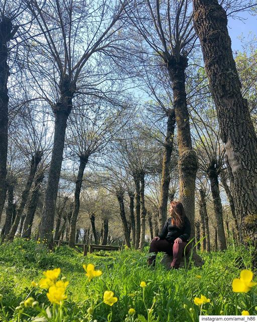 She was a curious girl, a wanderer, who spent her summers chasing... (Deïr Taanâyel, Béqaa, Lebanon)