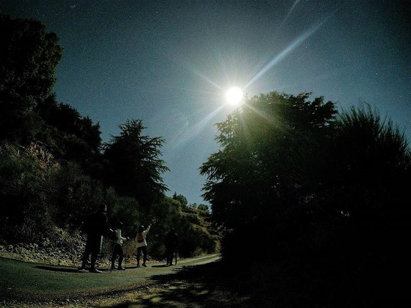Shine Bright Like A Diamond 🌚🌲 FullMoonHike  Hiking  Cedars  AinZhalta ... (Aïn Zhalta, Mont-Liban, Lebanon)