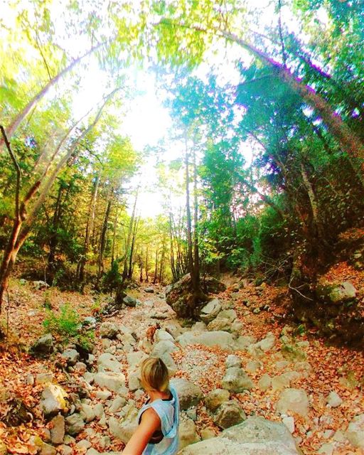 Shine like the whole universe is yours ...................This is mystical... (Miziâra, Liban-Nord, Lebanon)