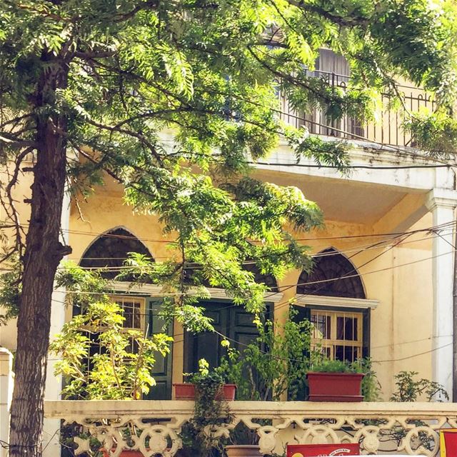 Shine on 🌞:::::::::::::::::::::::::::::::::::::::::::::::::::::::... (Achrafieh, Lebanon)