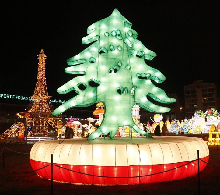 Shining Cedar... cedar  lecedre  lebanese  flag  lebaneseflag ... (Fouad Chehab- Jounieh)