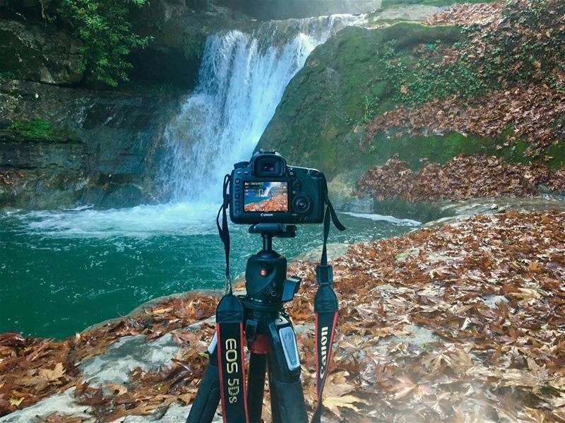 Shooting... canon  photography  canonme  canon5ds  nature  life ...