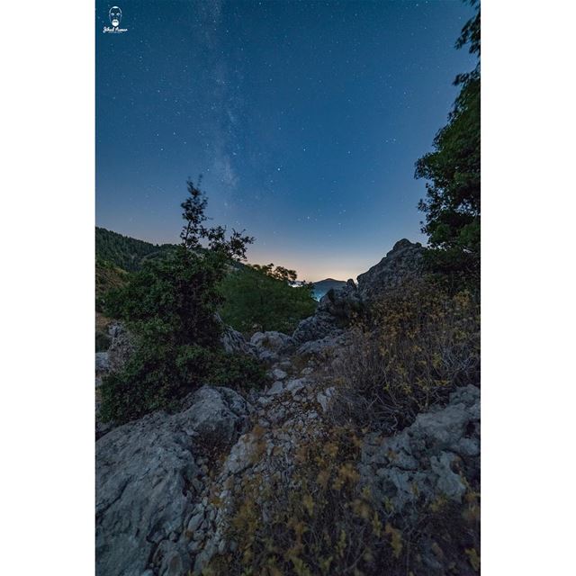 Shouf Biosphere Reserve. A Milky Way to catch!...