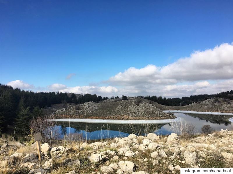 Shouf Biosphere Reserve shoufreserve  chouf  mountlebanon ... (Al-Shouf Cedars Natural Reserve)