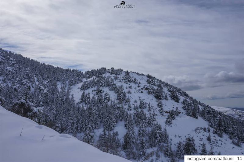 Shouf biosphere reserve ❤️ ▬▬▬▬▬▬▬▬▬▬▬▬▬▬▬▬▬▬▬▬  chouf  shoufreserve ...