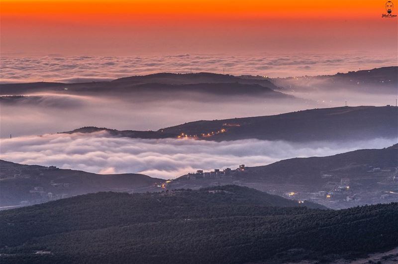 Shouf never disappoints me!!!... (Al Shouf Cedar Nature Reserve)