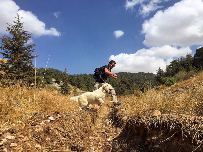 🌲🏃🏻.. shoufbiospherereserve  liveloveainzhalta  livelovehiking ... (Bmahray, Mont-Liban, Lebanon)