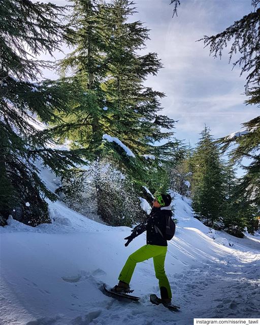  shoufreserve  winter  snow ... (Aïn Zhalta, Mont-Liban, Lebanon)