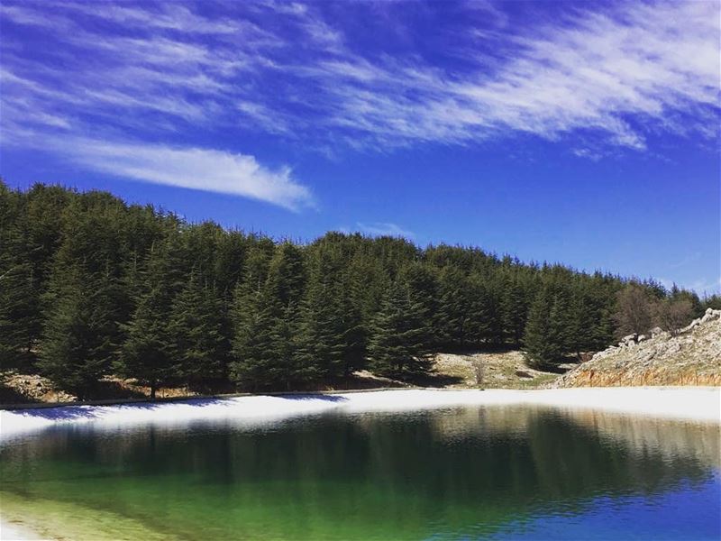 Shut down the noise of the outside world and live into the present... (Barouk Cedars)