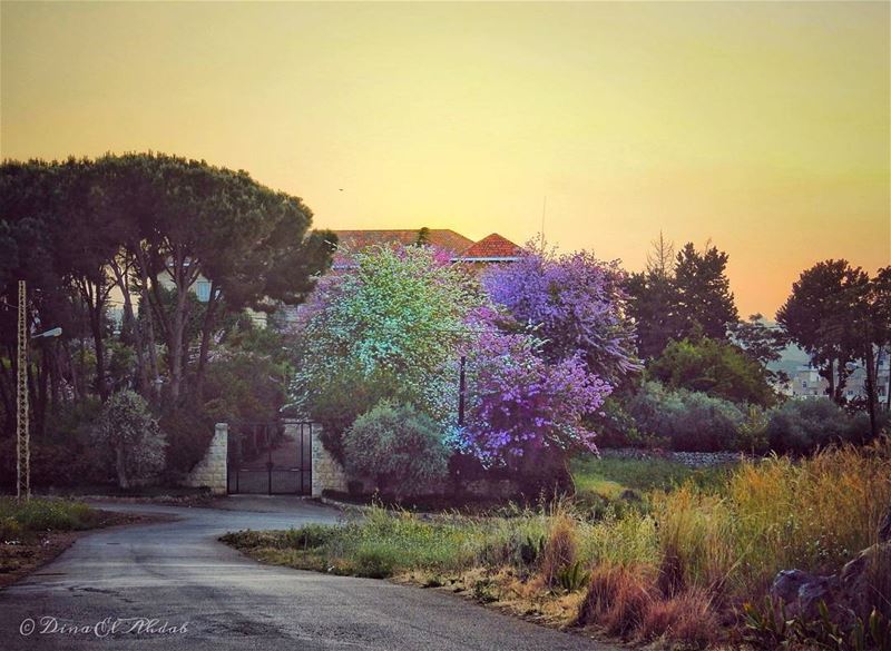 Si le soleil entre dans la maison, c'est qu'il est peu dans nos cœurs...... (Koura)